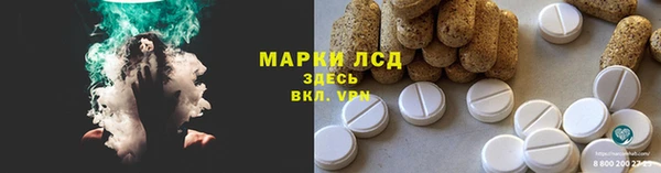 ПСИЛОЦИБИНОВЫЕ ГРИБЫ Алзамай