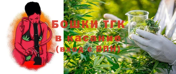 гидра Алексин